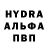 Конопля Bruce Banner Tanya Romanow