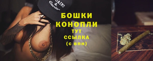 spice Коряжма